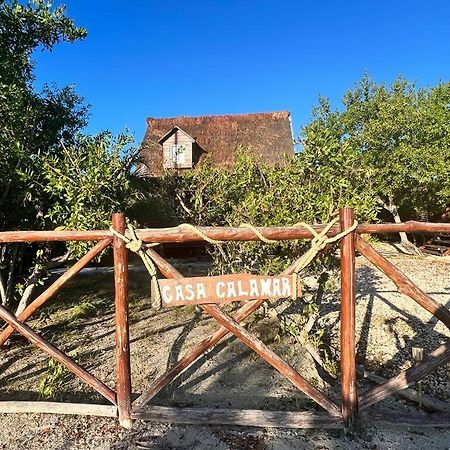 Casa Calamar ホルボックス島 エクステリア 写真