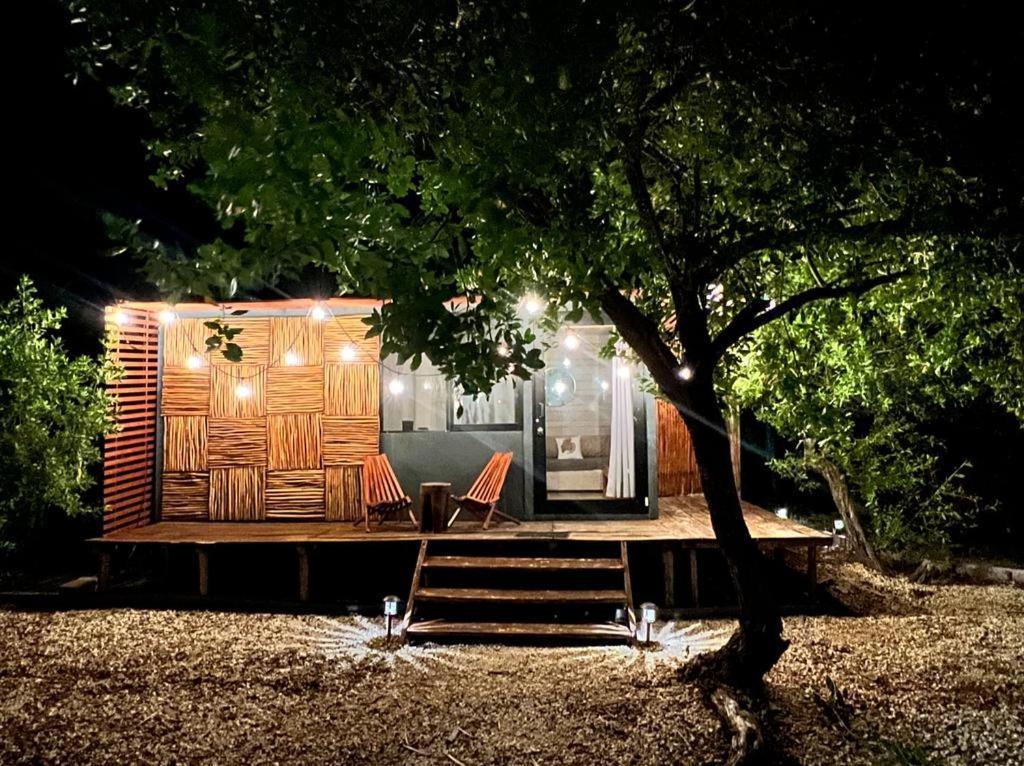 Casa Calamar ホルボックス島 エクステリア 写真