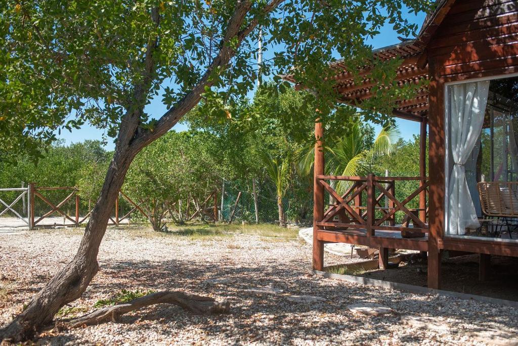 Casa Calamar ホルボックス島 エクステリア 写真